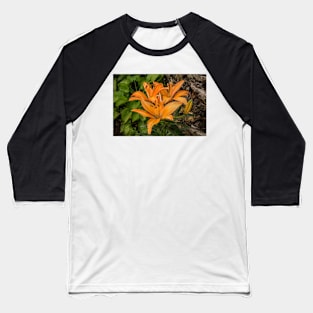 112216 orange lily Baseball T-Shirt